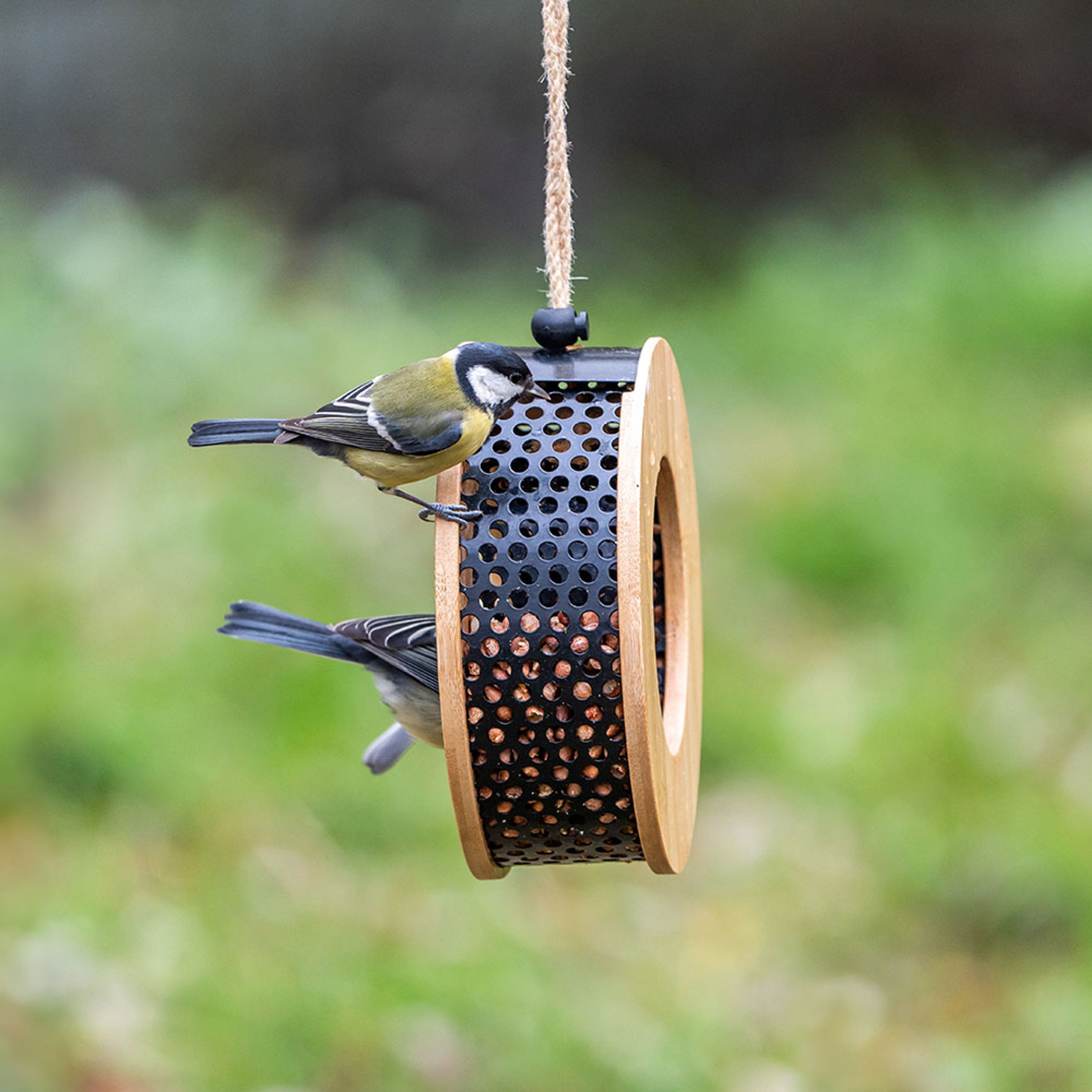 Erdnussfutterhaus Kyoto | CJ Wildlife